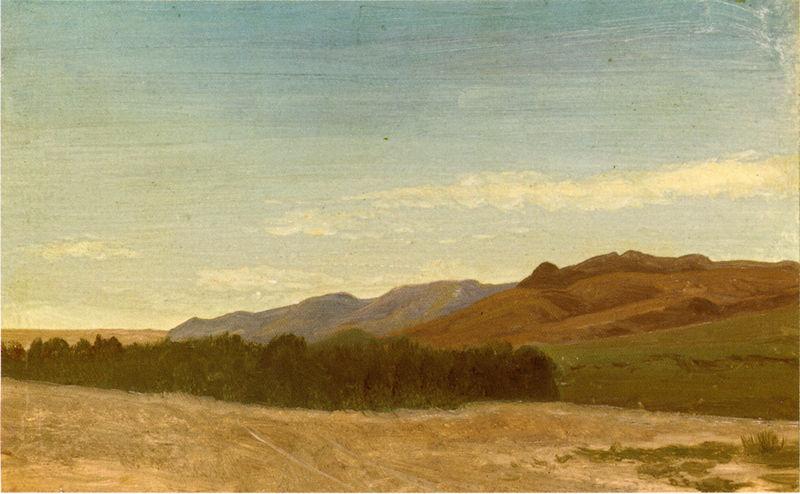 Albert Bierstadt The_Plains_Near_Fort_Laramie oil painting image